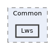 src/source/Common/Lws