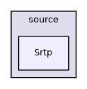 src/source/Srtp