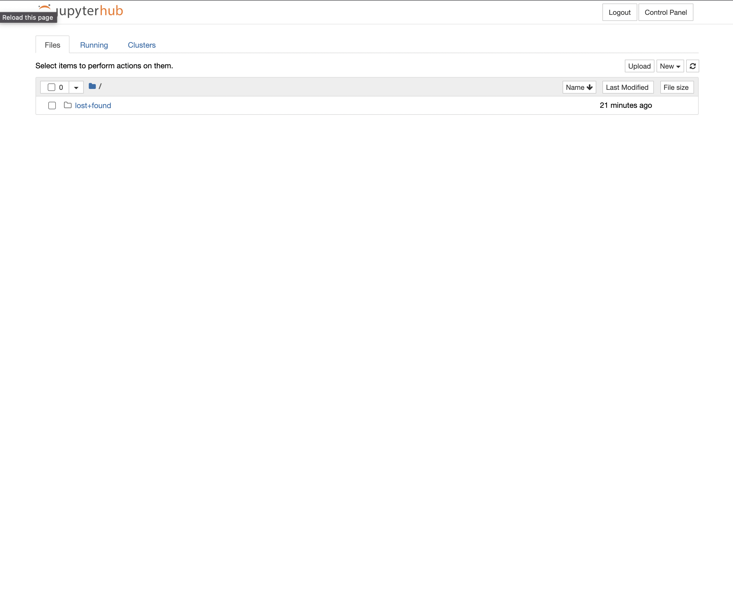JupyterHub Portal