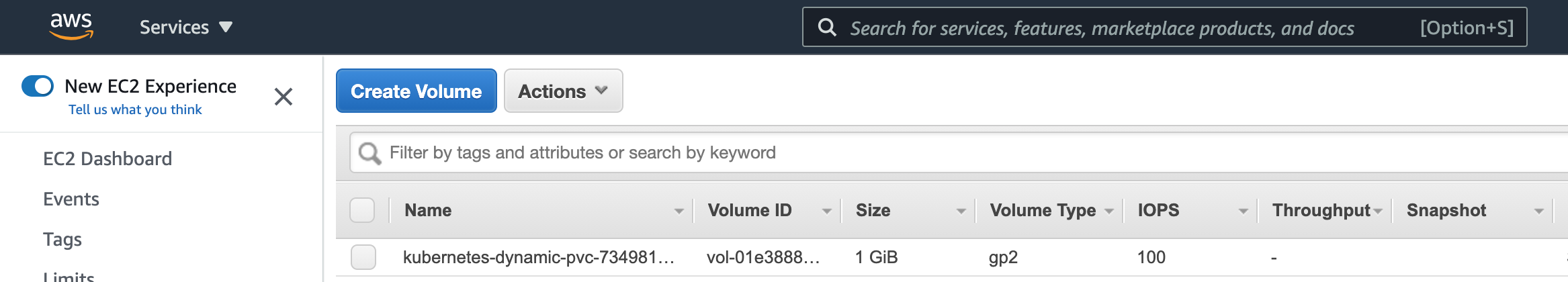 EBS_Volume_Screenshot
