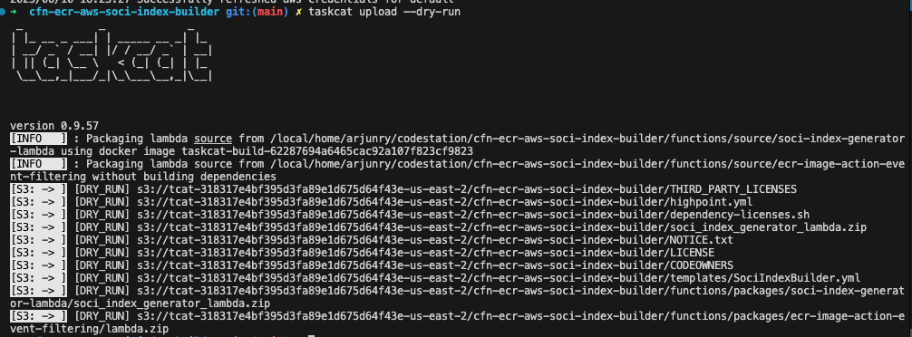 Taskcat dry-run example