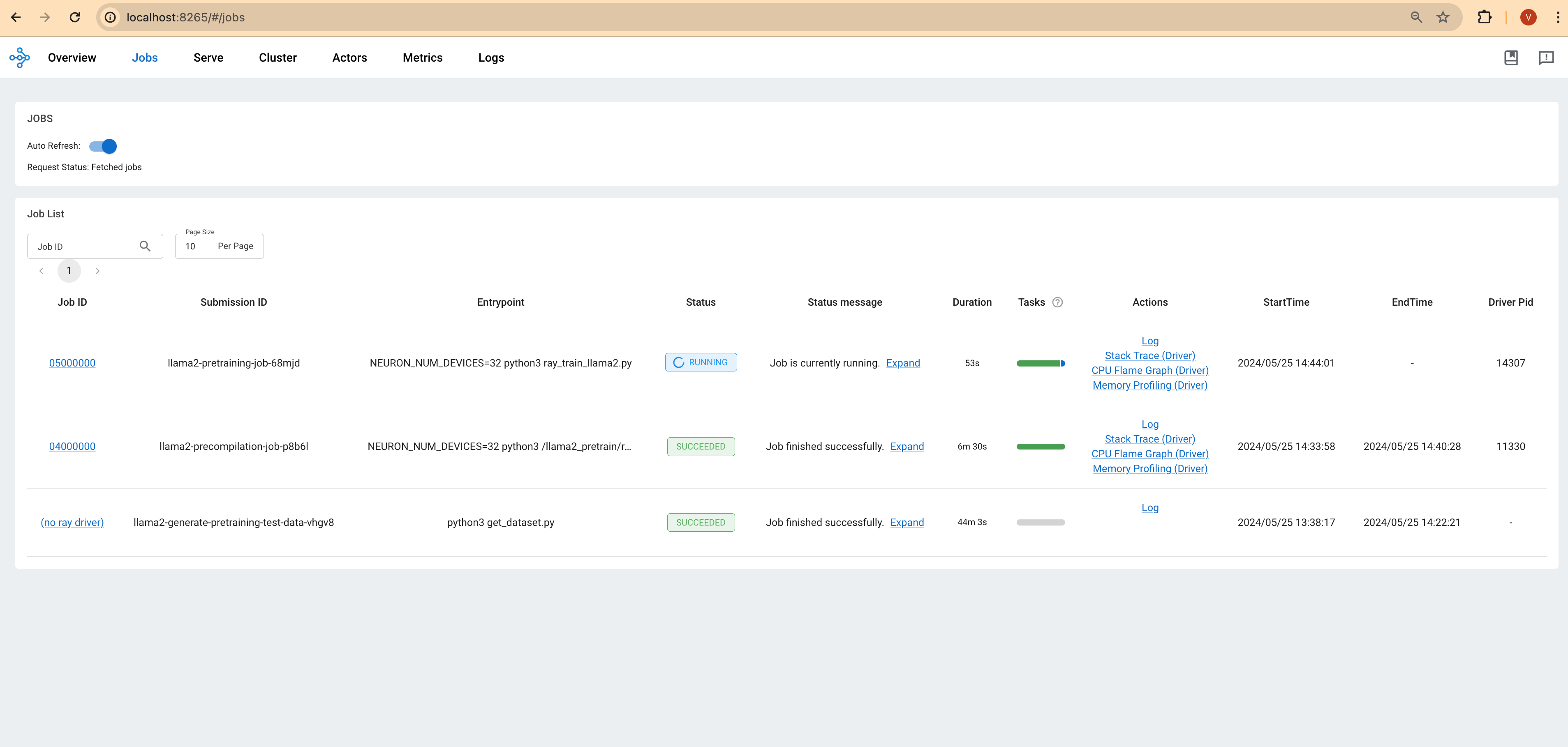 Training Progress Ray Dashboard