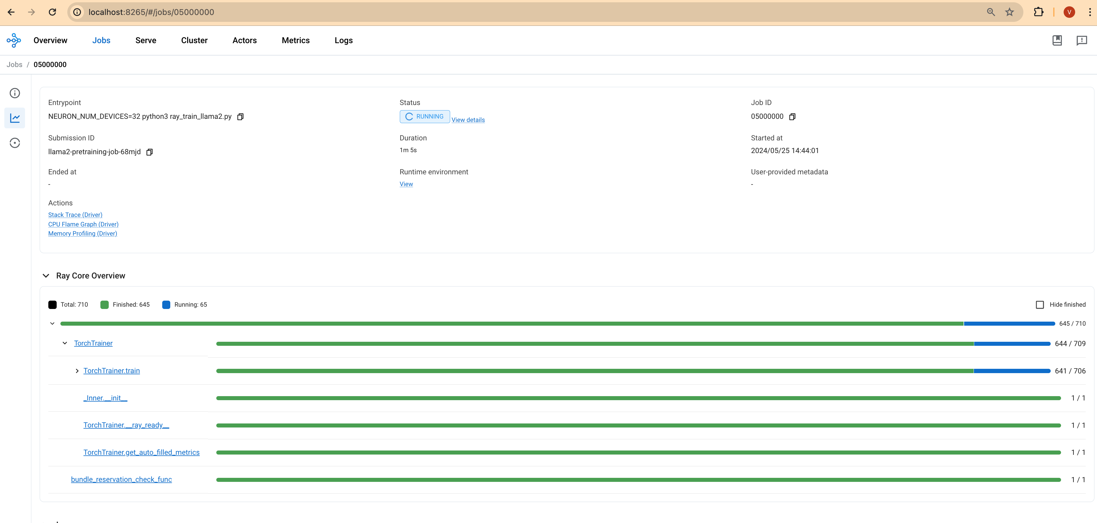 Training Progress Ray Dashboard