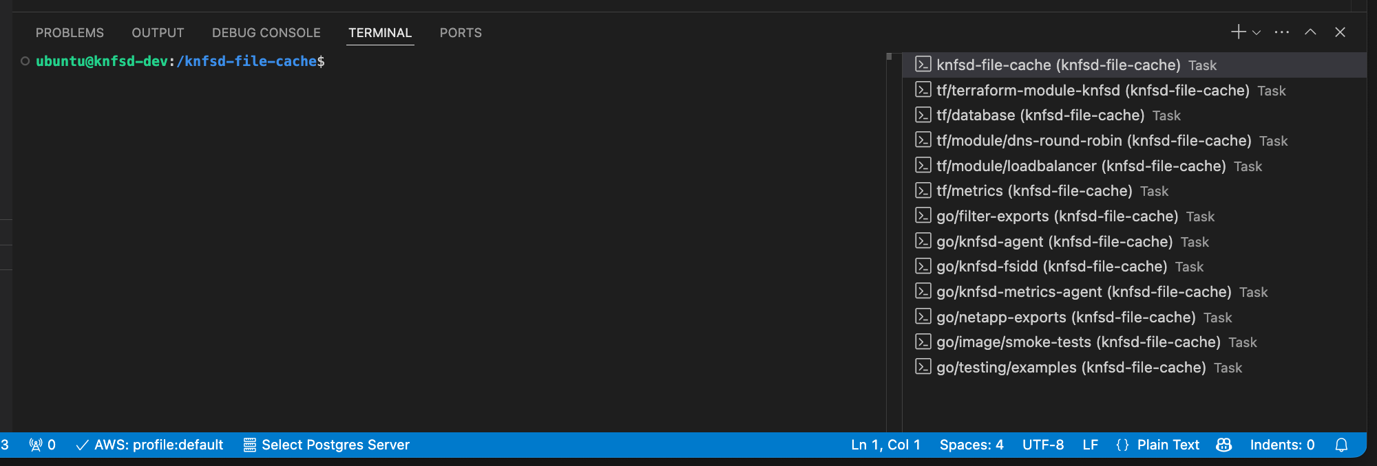 Devcontainer terminal tab displaying custom terminals created as part of the devcontainer.json startup