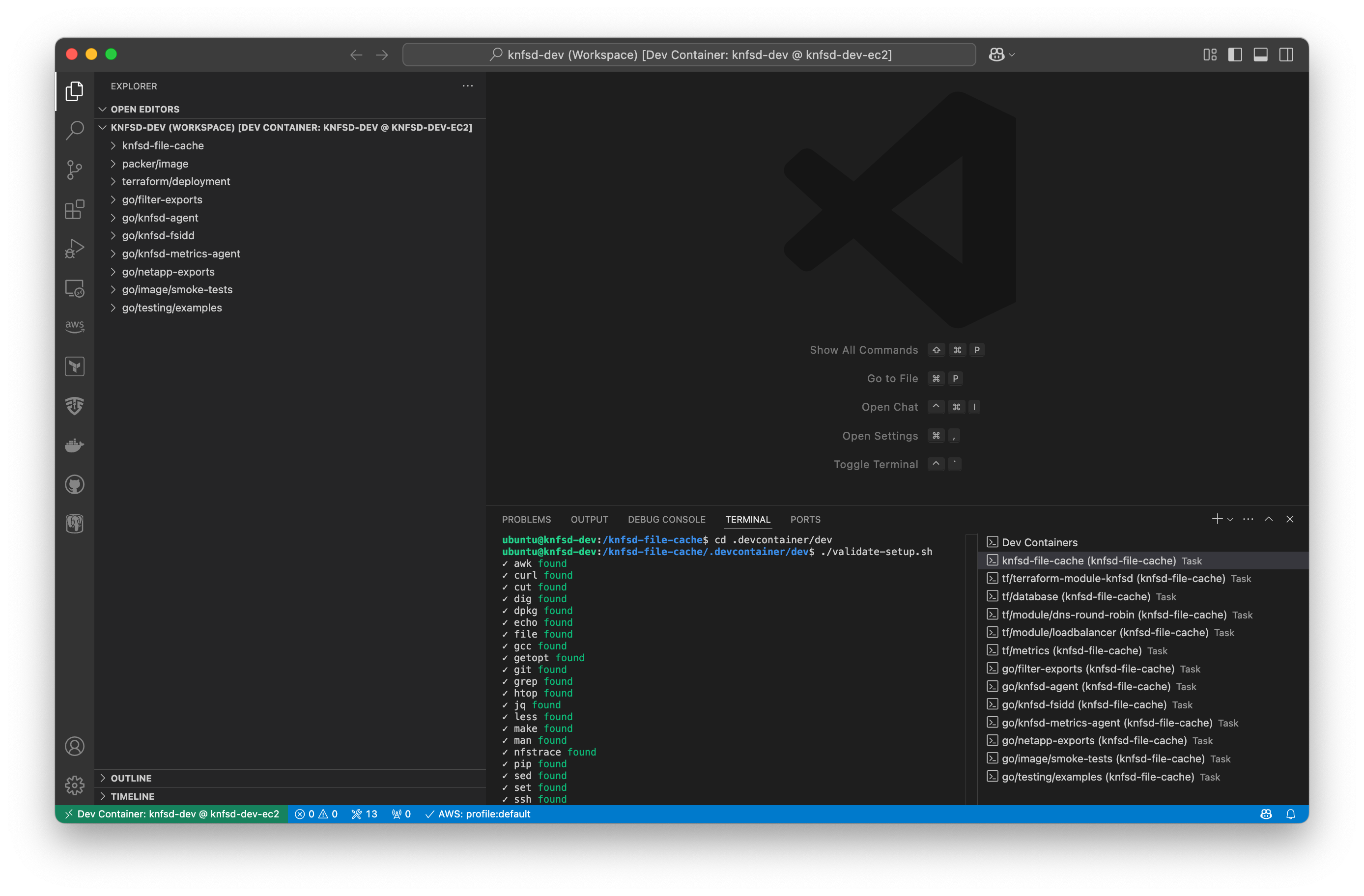 VS Code Remote-SSH window displaying the completed devcontainer build, all extensions and terminal windows loaded