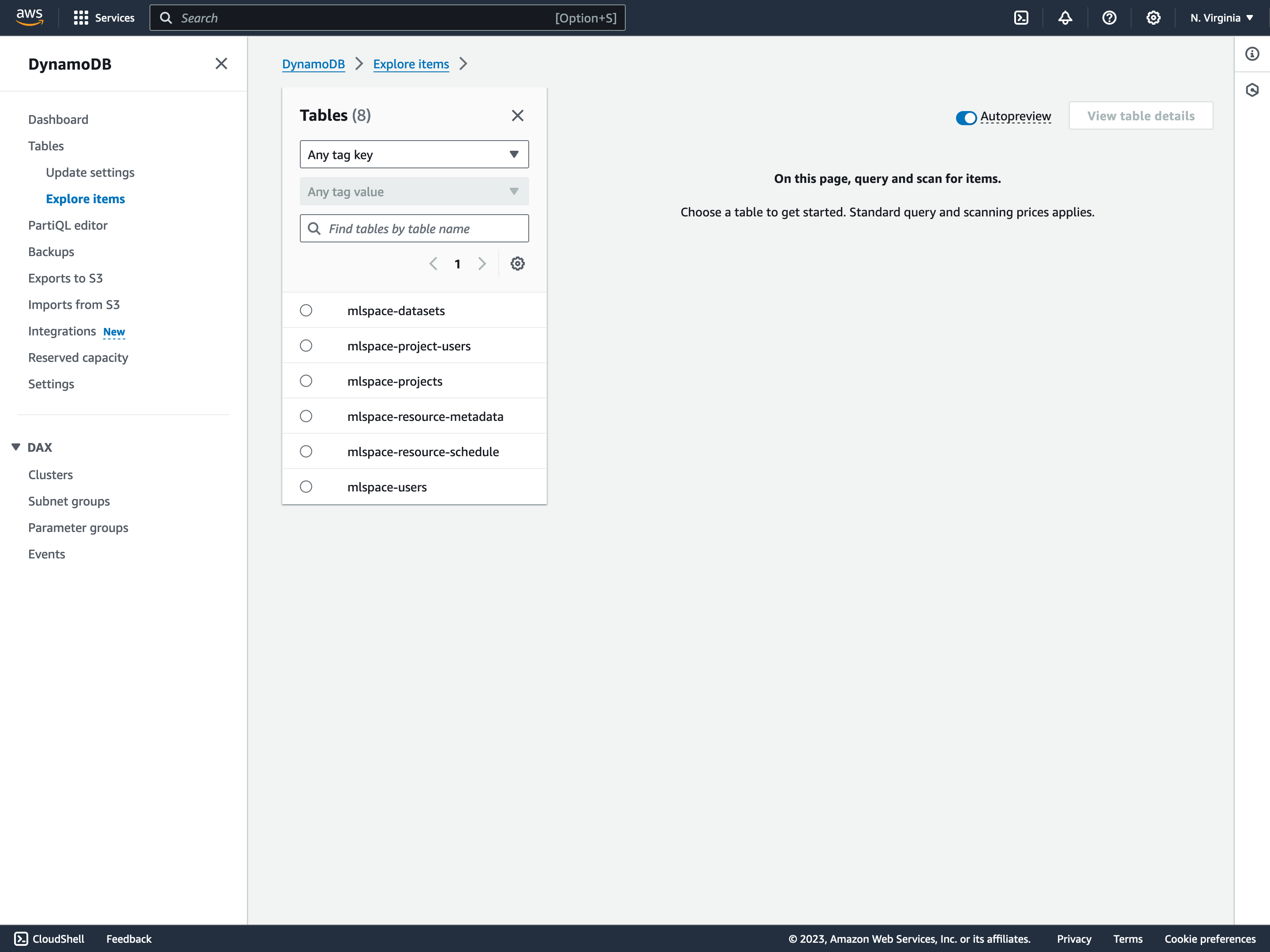 DynamoDB explore table