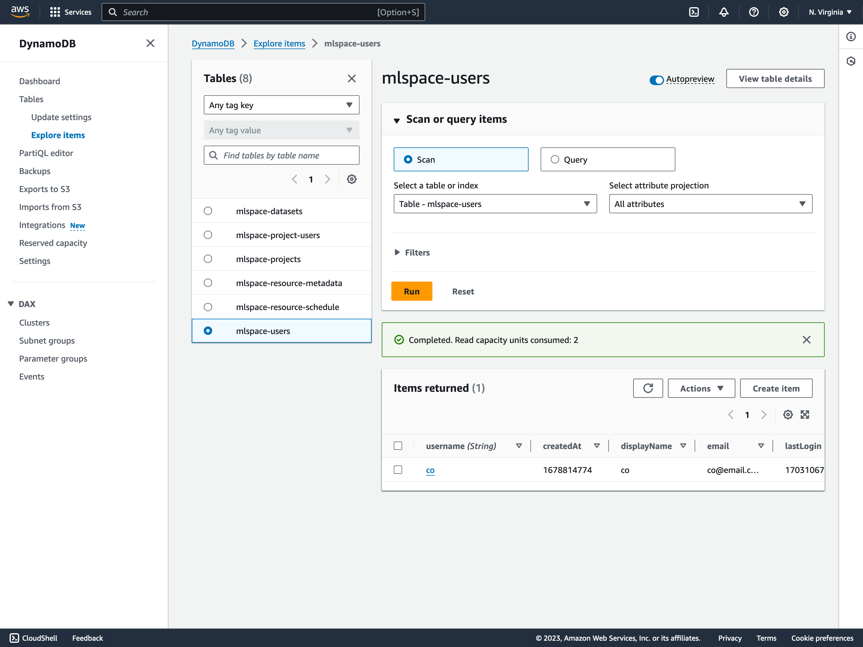 DynamoDB table items