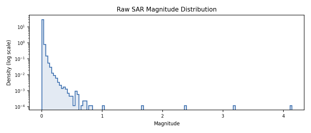 Raw SAR magnitude histogram