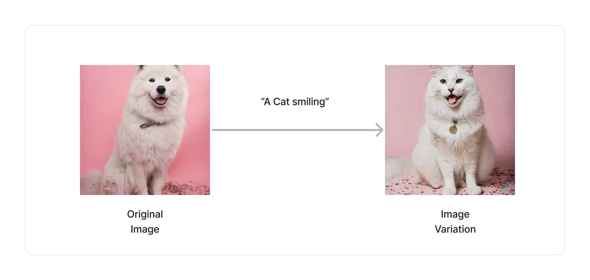 Variation Process