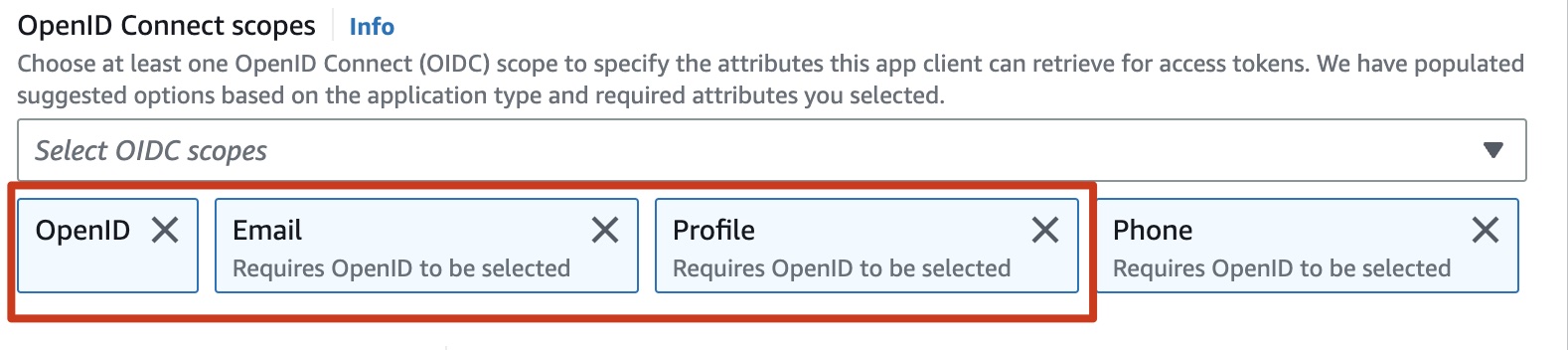 Cognito Connect scopes